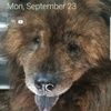 kcaradonna0117